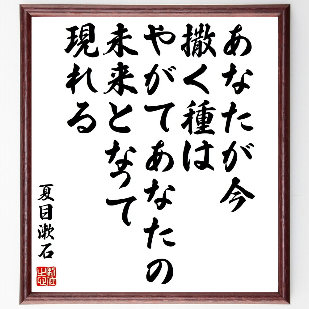 夏目漱石の名言書道色紙『あなたが今、撒く種は、やがてあなたの未来となって現れる』Z3730